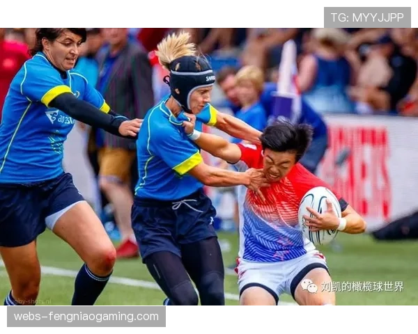 西班牙橄榄球联合会就假球传闻启动内部调查